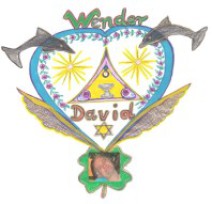 Logo Wender David